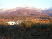 El Pinajarro desde el Regajo. Hervs, Cceres
